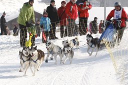 Lenk 2012 SM